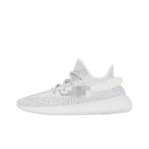 31 OPTIONS 31 OPTIONS