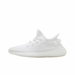 31 OPTIONS 31 OPTIONS